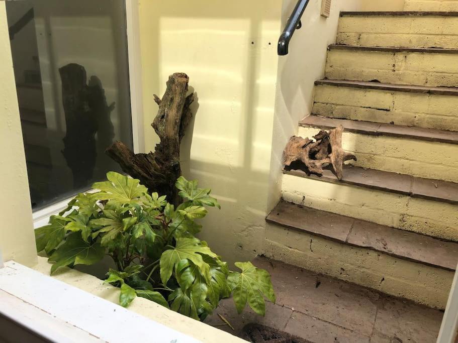 Appartamento Beautiful, Well Positioned Flat In Clifton Wood Bristol