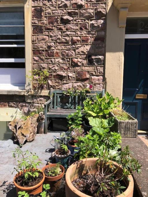 Beautiful, Well Positioned Flat In Clifton Wood *